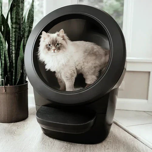 PetSanity